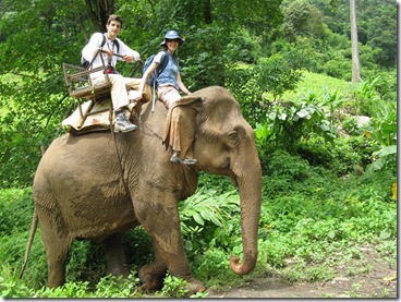 elephant_riding