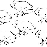 RANAS Y LAGARTOS-18.JPG
