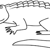 RANAS Y LAGARTOS-21.JPG