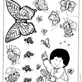 ABEJAS, MARIPOSAS Y CATARINAS-1.jpg