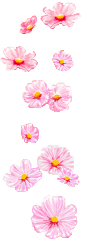 F127.png