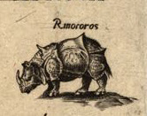 Rinoceronte del mapa de Diego Gutierrez