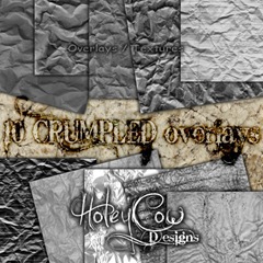 HOLEYCOW_CU_CRUMPLED_OVERLAYSpreview