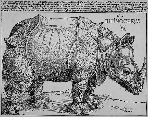 [Durero Rinoceronte 1515[6].jpg]
