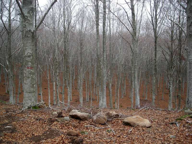 DSCN1741.JPG