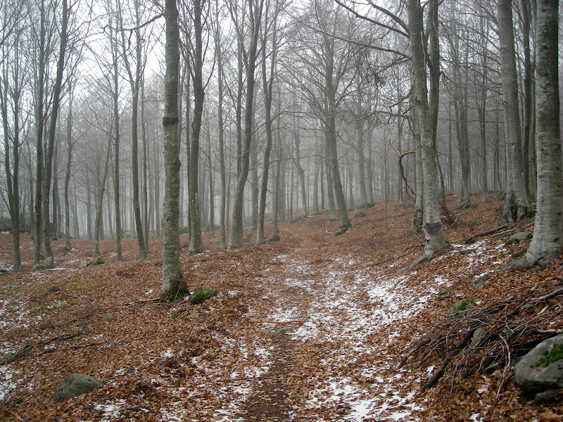 DSCN1746.JPG