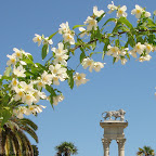 Jardines de Murillo - Sevilla -abril 2011 - 5aa.jpg