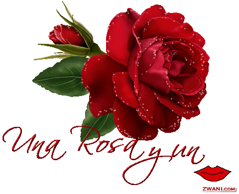 De flores rojas animadas - Imagui