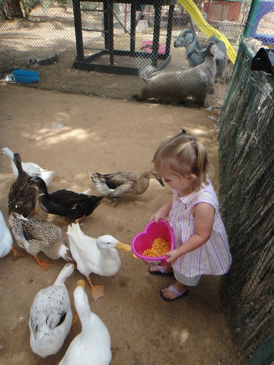 [183440_10150150480891518_728531517_8050184_2942092_n[12].jpg]