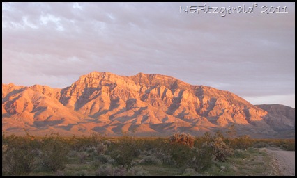 IMG_6233Virgin Mountains Southern Nevada