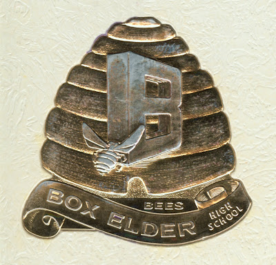 Box Elder High School Bees