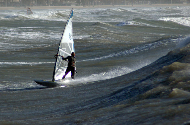 DSC_0876.jpg