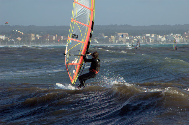 DSC_0333.jpg