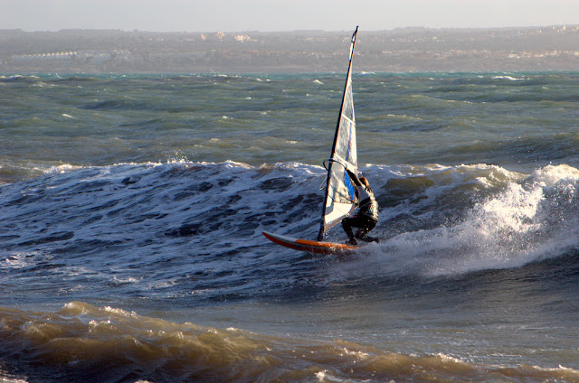 DSC_0541.jpg