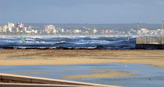 DSC_0775.jpg