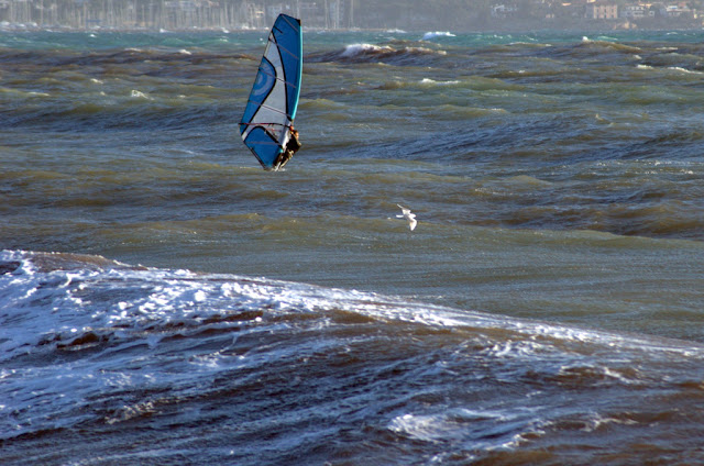 DSC_0688.jpg