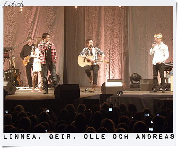Linnea, Geir, Olle och Andreas