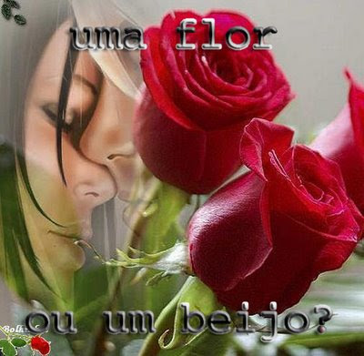 casaleflor1.jpg