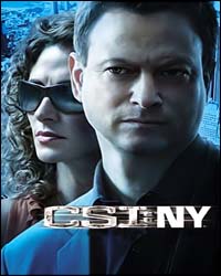 Série C.S.I. New York 7ª Temporada Completa Legendado