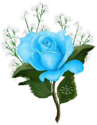 flores38 flores38