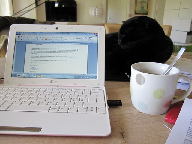 [Home office with lazy assistant[11].jpg]