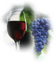 WineGlassGrapes