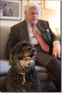 Ted-Kennedy-and-Portugese-Water-Hound