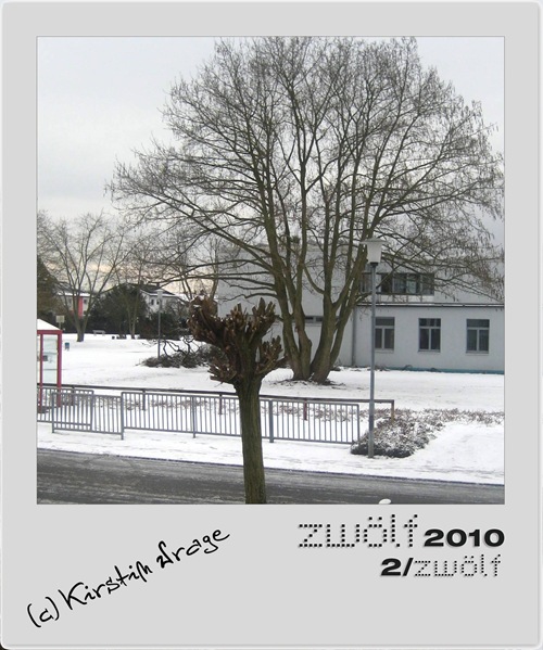 02-zwoelf2010-2