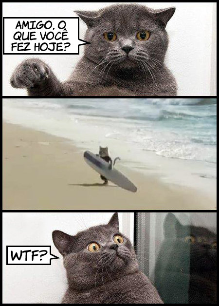 gatosurfista Gato surfista