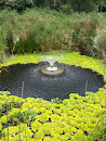 Water Sustainability Water Feature