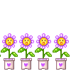 [flores[2].gif]