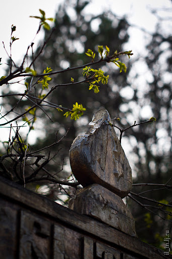 Project 365. Day 125 