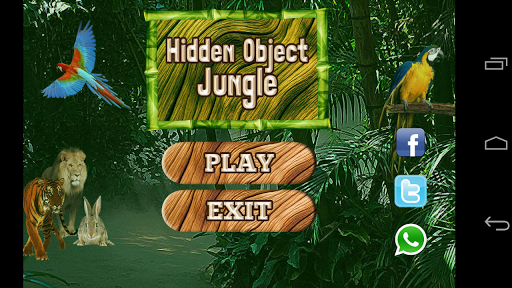 Find Hidden Objects in Jungle