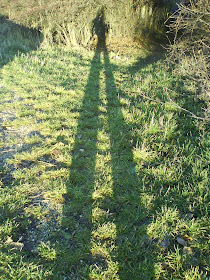 HP Lovecraft, Románia, Ward, Budapest, Providence, Erdély, románok, Ferenczy