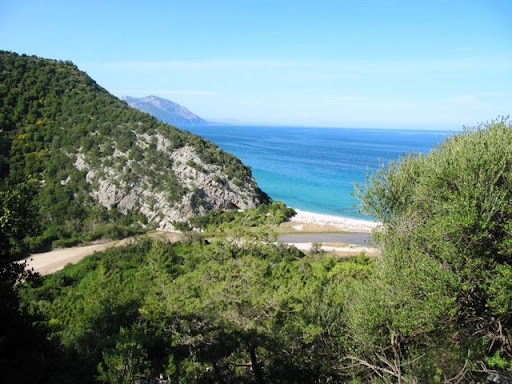 IMG_0076.jpg