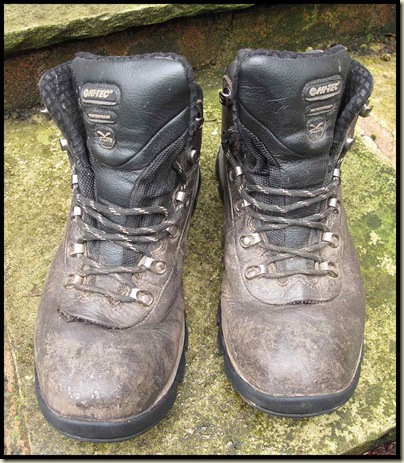 Postcard from Timperley: Hi-Tec V-Lite Altitude Ultra WPi Boots – A Review