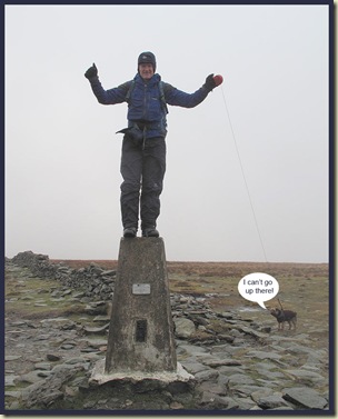 On the trig point