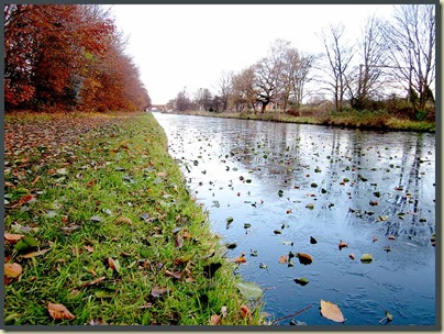 The Bridgewater Canal, Timperley, 25/11/10