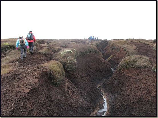 Peat Hags on Kinder Scout
