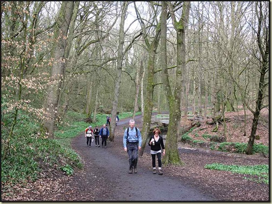 Strolling through the delightful Borsdane Wood