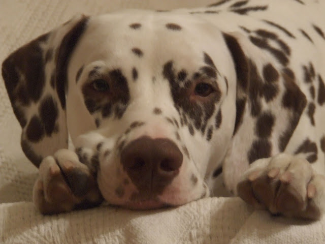 DSCF8440.JPG