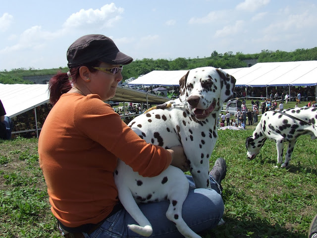 DSCF8572.JPG