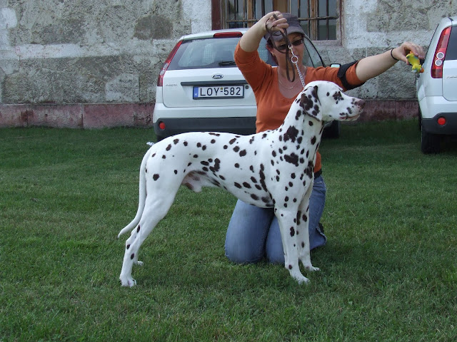 DSCF8628.JPG