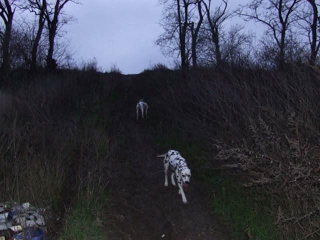 DSCF8057.JPG