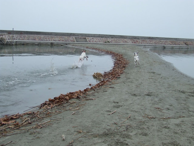 DSCF8125.JPG