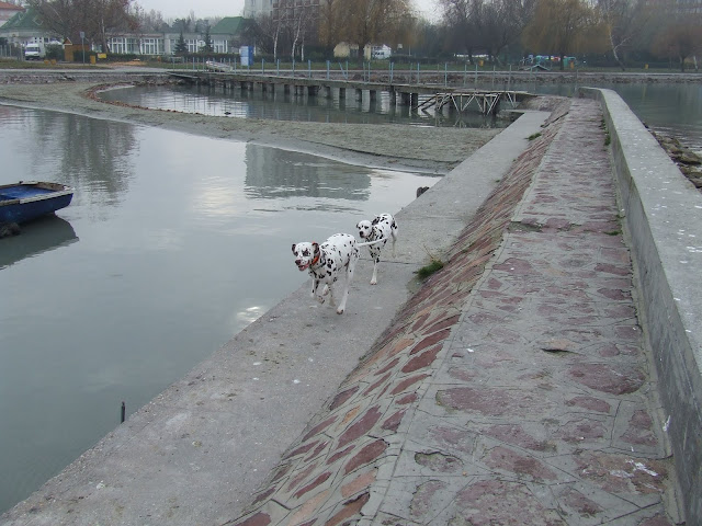 DSCF8147.JPG