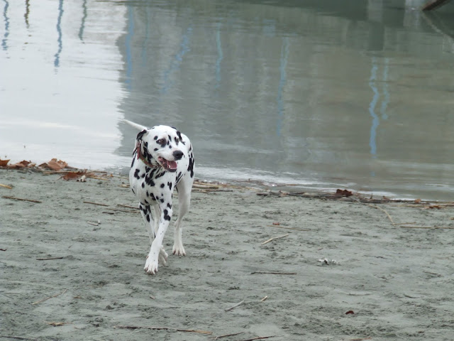 DSCF8150.JPG