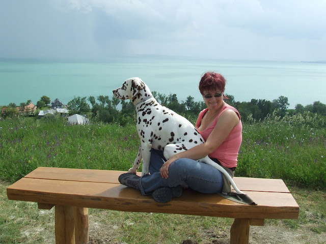 DSCF9017.JPG