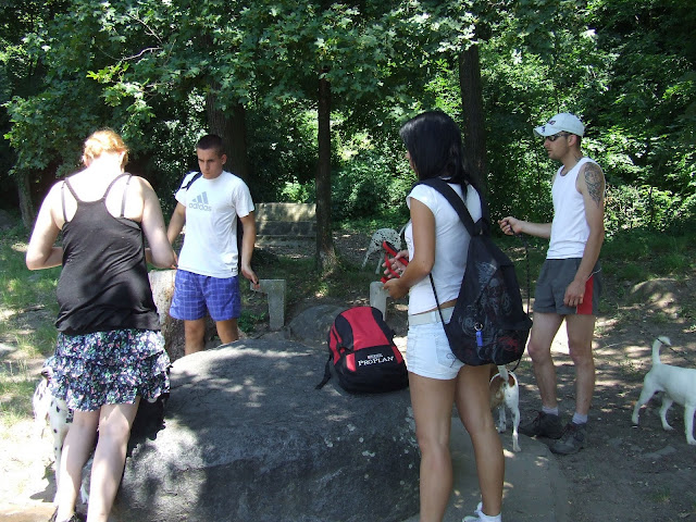 DSCF9462.JPG