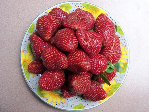 [100_2340 (Large)[3].jpg]